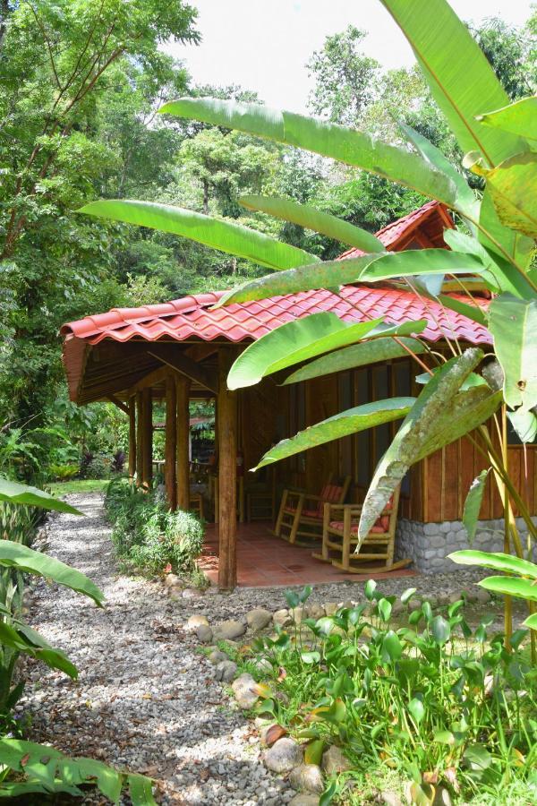 Esquinas Rainforest Lodge Golfito Buitenkant foto