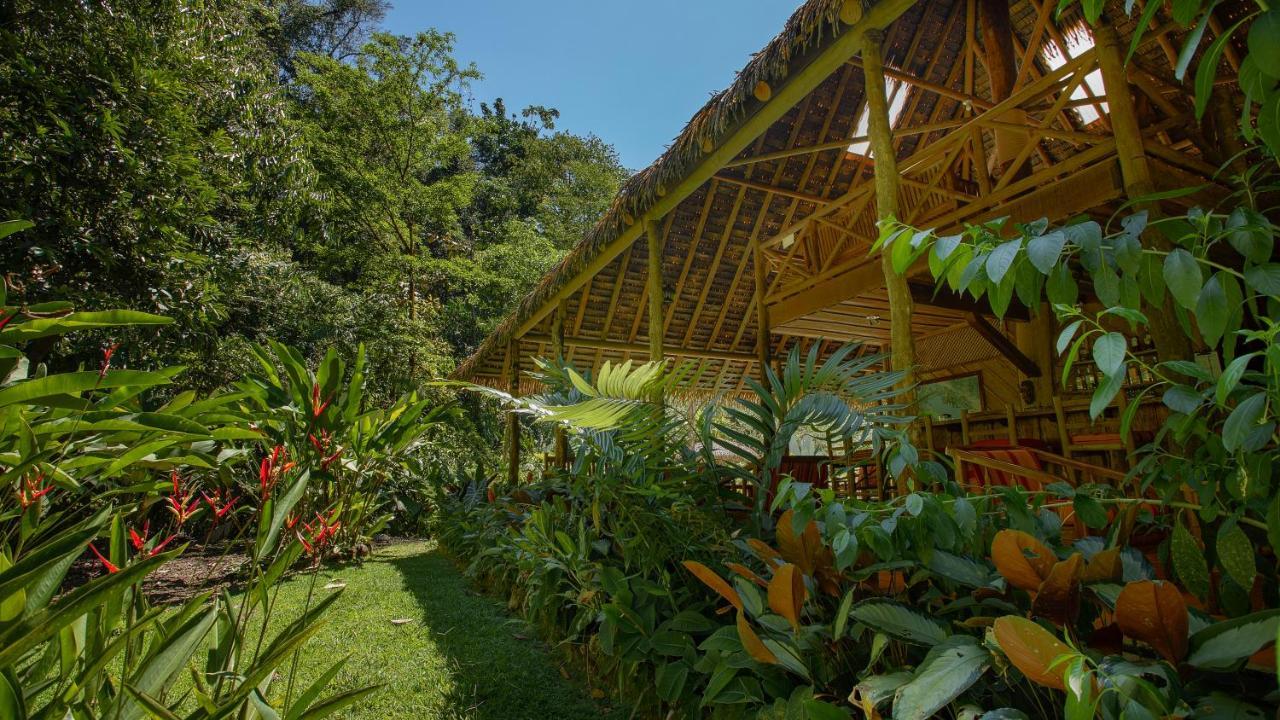 Esquinas Rainforest Lodge Golfito Buitenkant foto