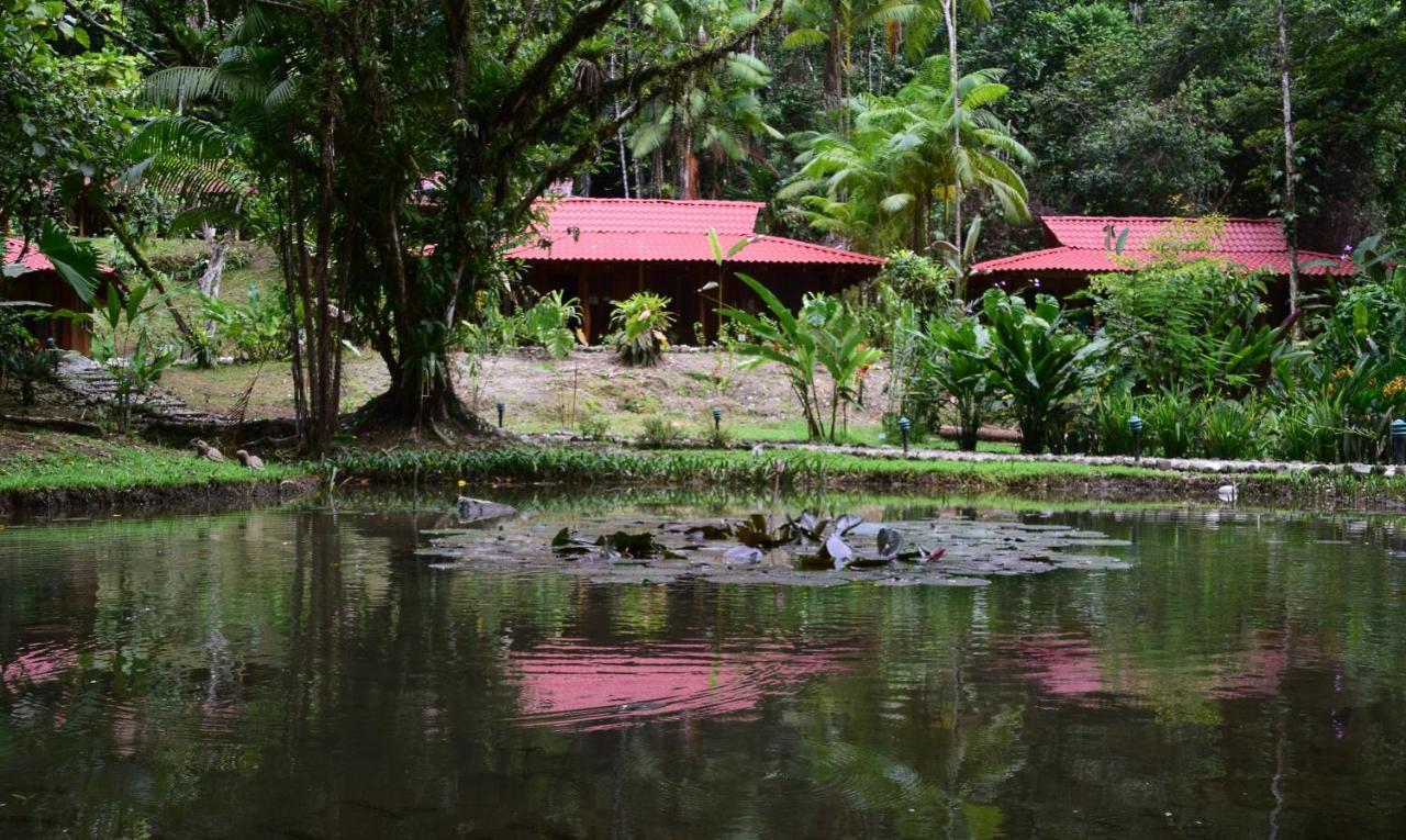 Esquinas Rainforest Lodge Golfito Buitenkant foto