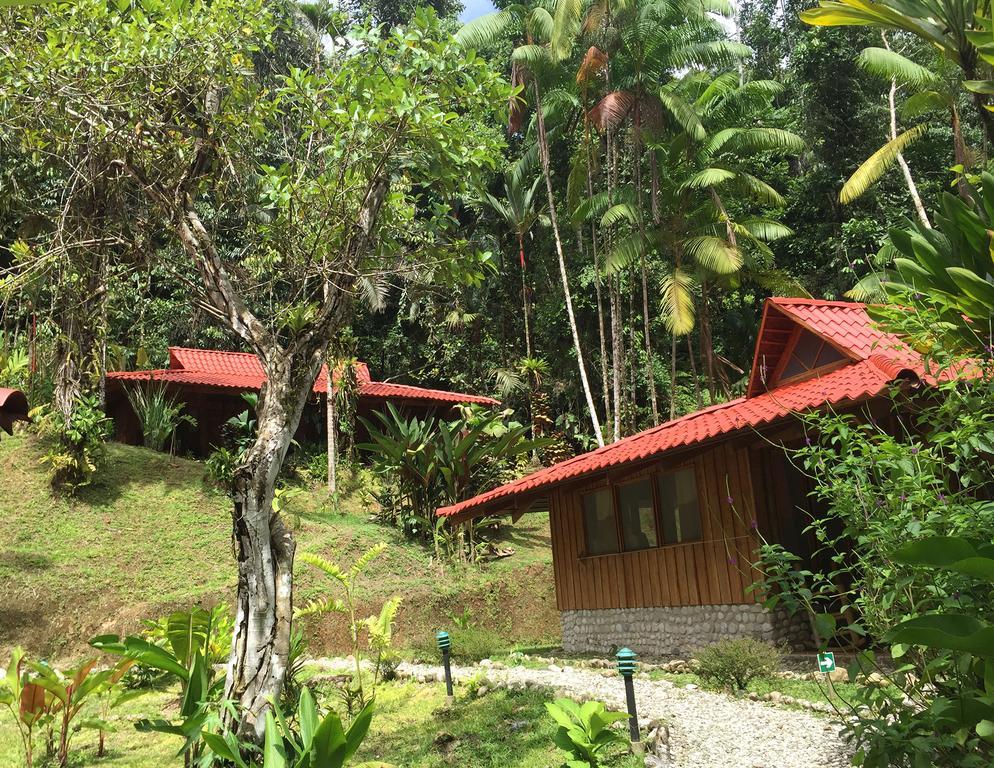 Esquinas Rainforest Lodge Golfito Buitenkant foto