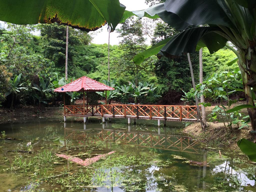 Esquinas Rainforest Lodge Golfito Buitenkant foto