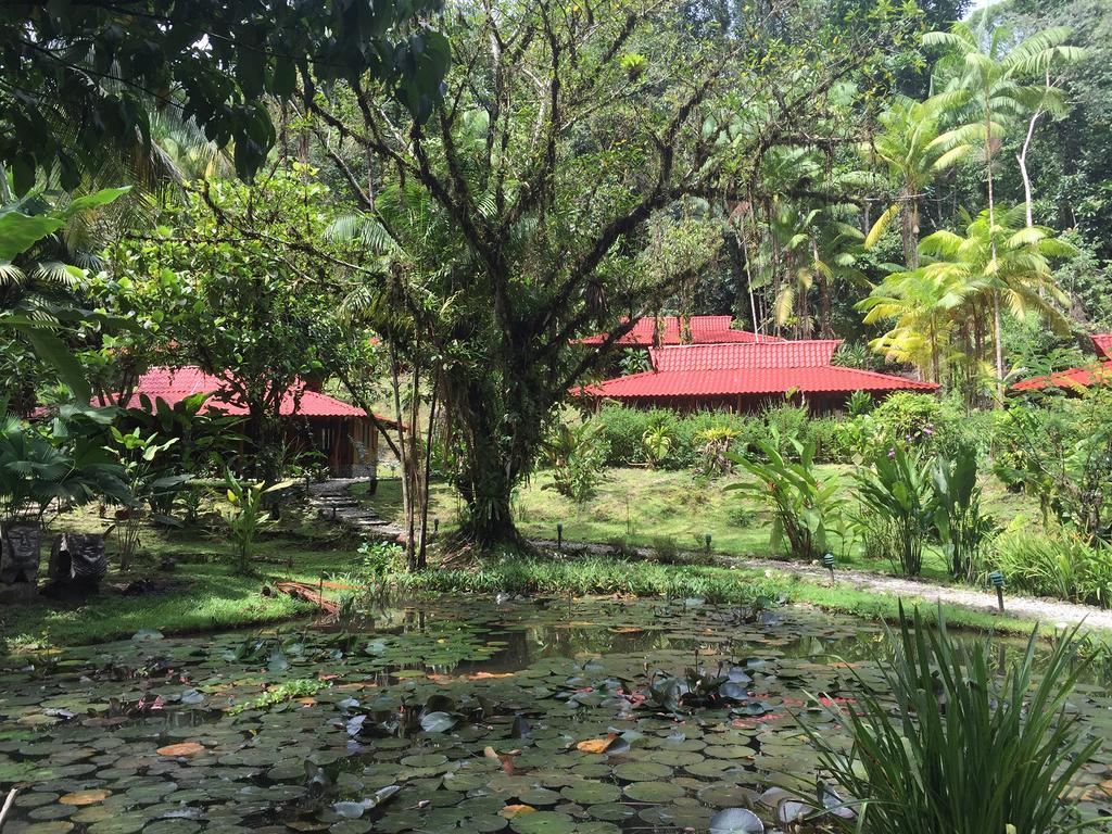 Esquinas Rainforest Lodge Golfito Buitenkant foto
