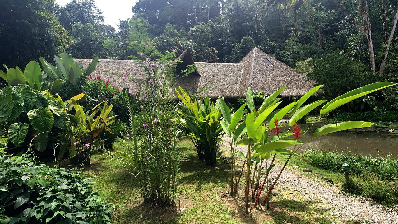 Esquinas Rainforest Lodge Golfito Buitenkant foto