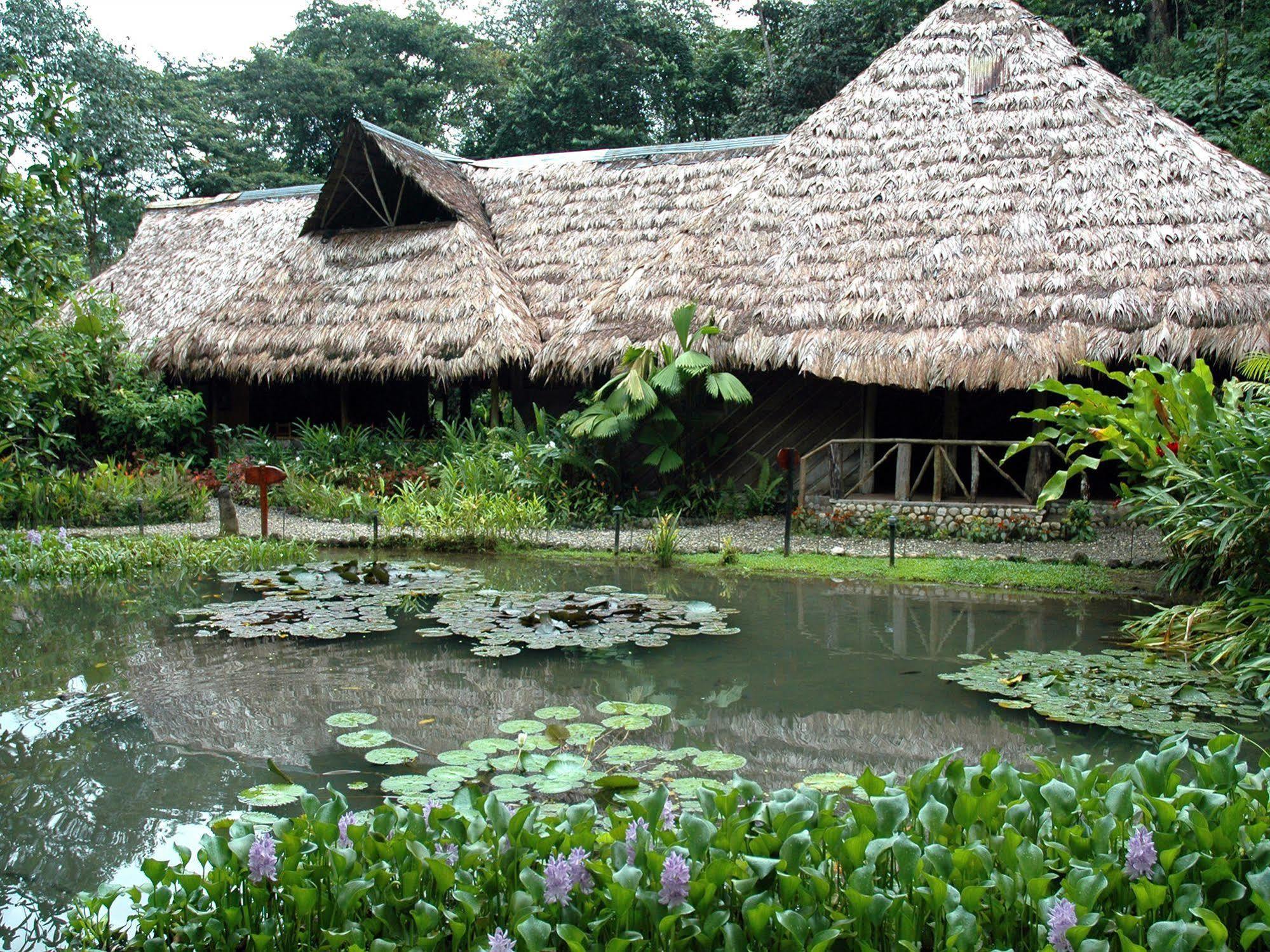 Esquinas Rainforest Lodge Golfito Buitenkant foto