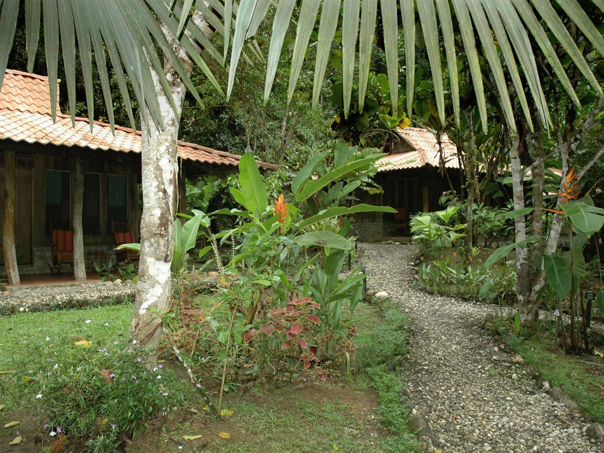 Esquinas Rainforest Lodge Golfito Buitenkant foto