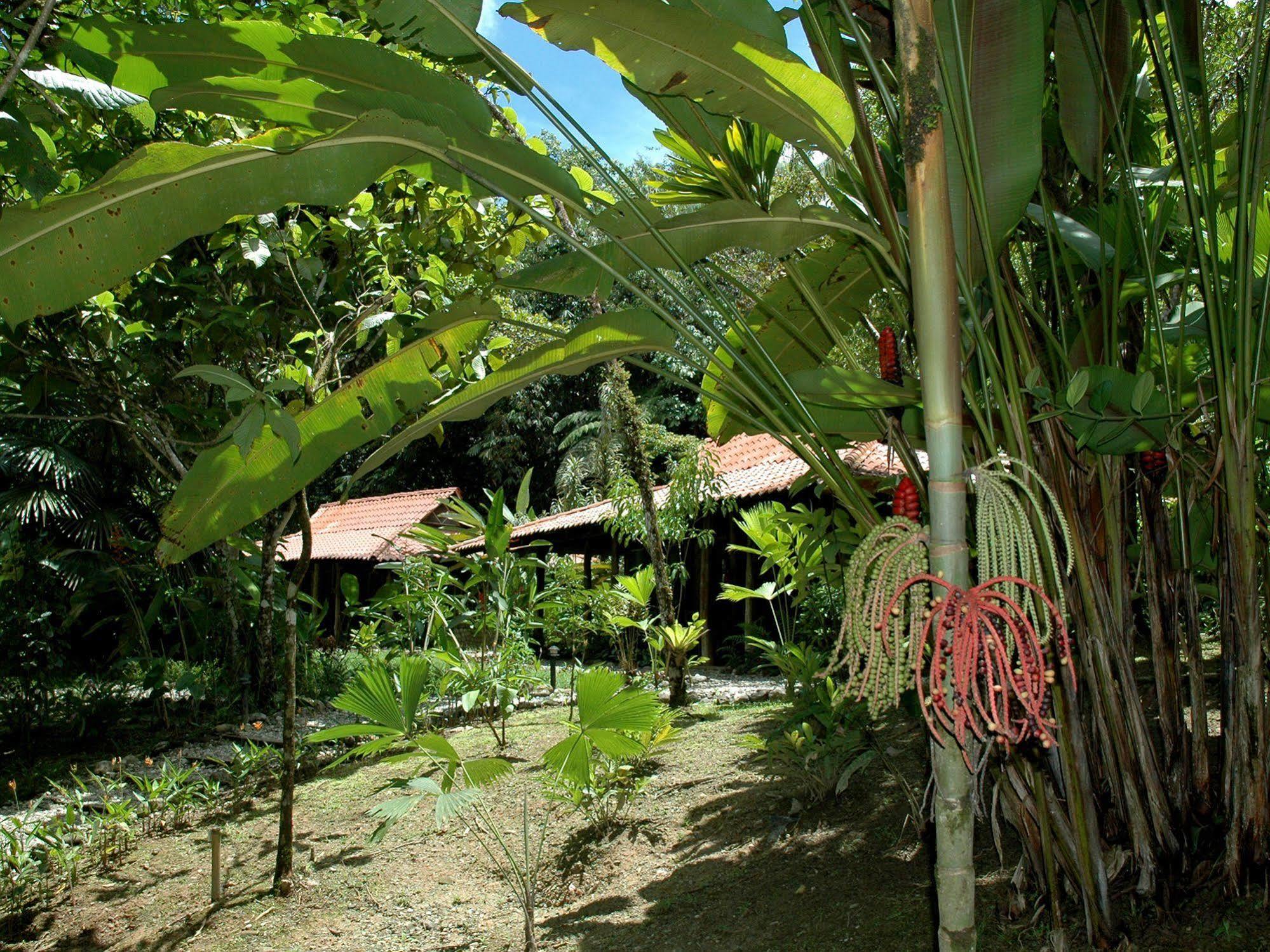 Esquinas Rainforest Lodge Golfito Buitenkant foto