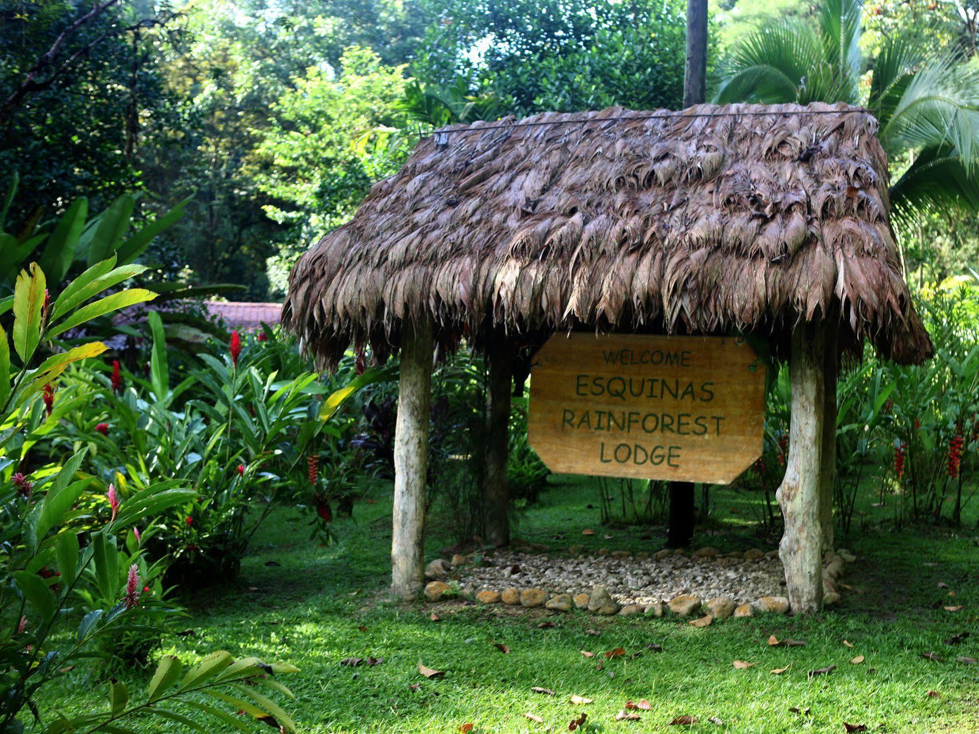 Esquinas Rainforest Lodge Golfito Buitenkant foto